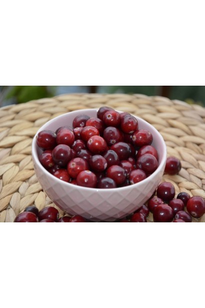 Клюква ранняя Эрли Блэк